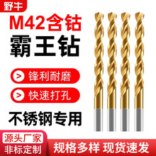 M42高钴霸王钻头加硬高速钢含镀钛不锈钢专用麻花钻打孔钻铁钻头