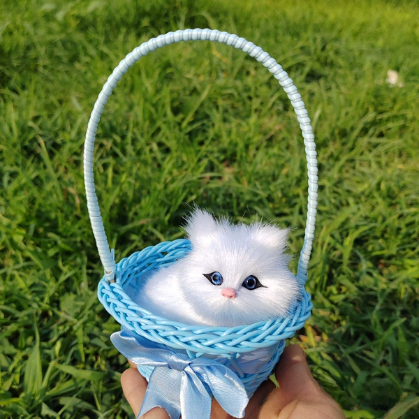 Will be called a blue cat basket pure white cat