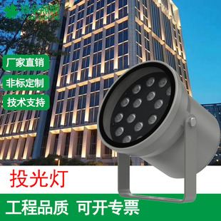 Floodlight 18W/24W/36W48W72W96W Full Color Warm White Villa Garden Monuments Cultural Tourism Landscape Light Lighting