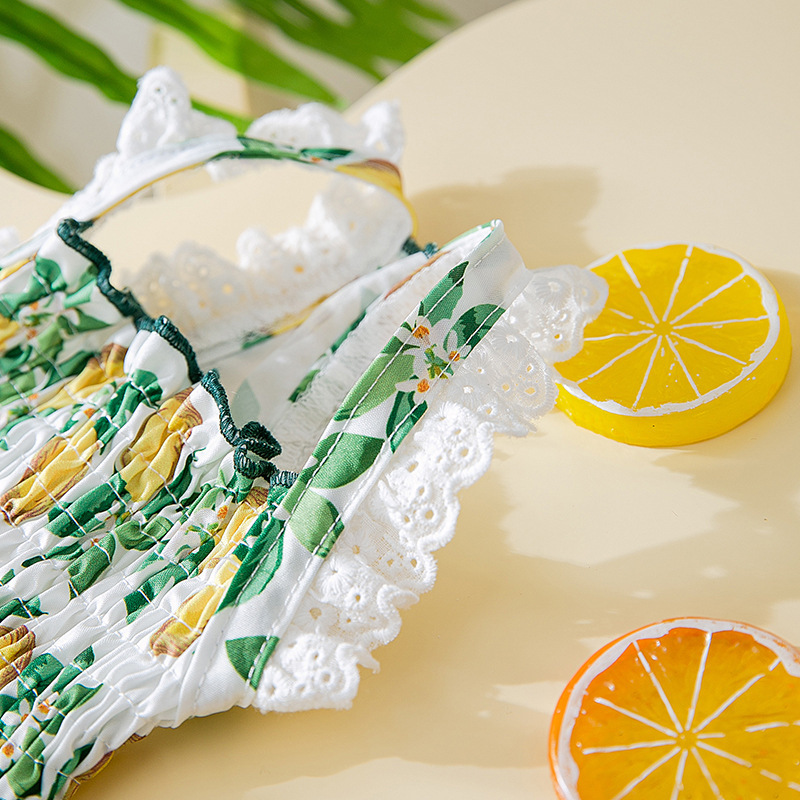 2023 nuevo verano encaje perro Liga falda gato chaleco mediano y pequeño perros primavera y verano fresco vestido para mascotas