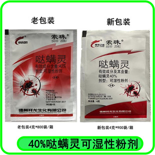 �}�\�`�t֩��ș����40%�}�\�`���٘�t֩���rș���x��4���rș���l