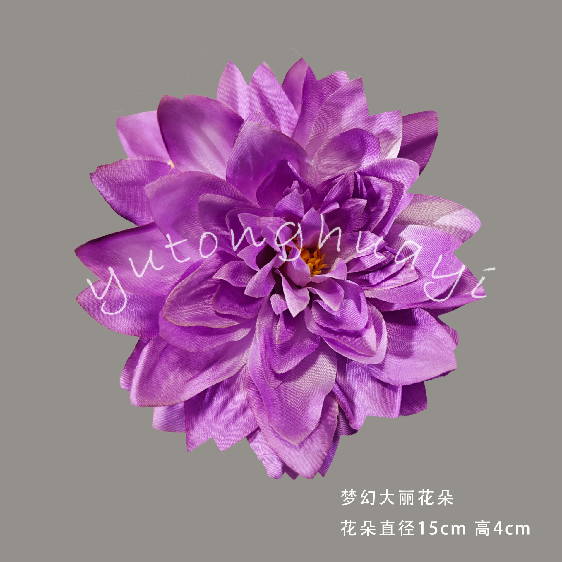 Fantasy dahlia flowers