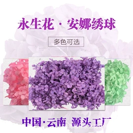 永生花;鲜花花艺制品;香皂花