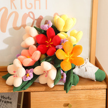 �羳��������ͨ����ë�q�����żС�[��耳׿ے����Ů�����նY��