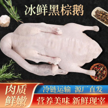 ���r�����Z���Z ���r�F�������Z���D䁾Ƶ깩�� �V�|���Z���Zʳ��