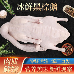 ���r�����Z���Z ���r�F�������Z���D䁾Ƶ깩�� �V�|���Z���Zʳ��