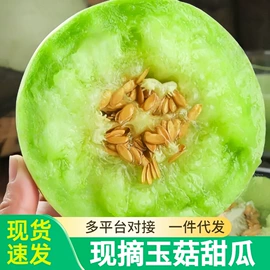 块茎类;其他水果;梨