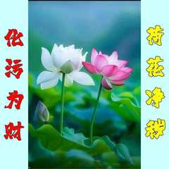 蓮の花の絵の浴室ステッカー 蓮の花と鯉の絵の浴室トイレの蓮の花の絵 蓮の花の浄化ステッカー
