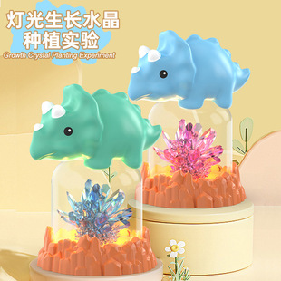 Children's Handmade DIY Crystal Planting Science Small Experiment Crystal Growth Magic Tree Science Experiment Toy Ornaments