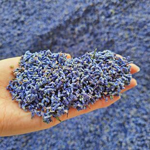 �½�����65�F����Ȼ�ؼ��ɻ��M��ֲ����������Ӽҳ�ζ�»�