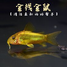 �𾀽����~���w �����~�͗���ˮ�坍���幤���~�Ꭷ�~�^�p�~���l