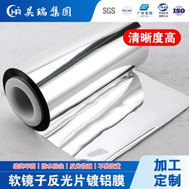 塑料食品袋;其他塑料薄膜;镀铝膜