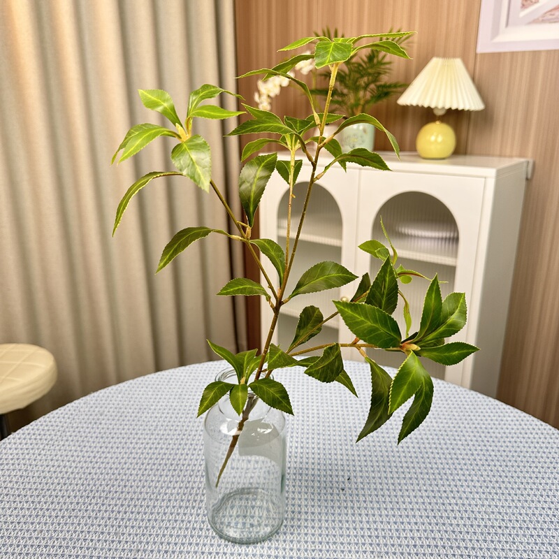 シミュレーション緑植単枝束ブラジル木楡樹葉室内装飾造景竹葵客間装飾シミュレーション植物|undefined