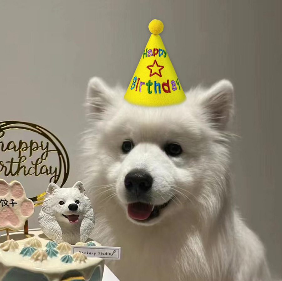 Праздничный конусный колпак для собак Sonos Happy Birthday