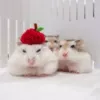 Husband+wife
