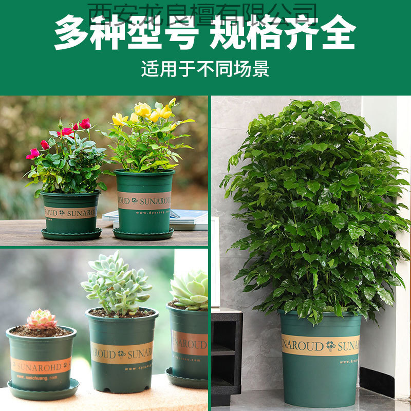 花盆盆家用塑料加厚阳台盆景多肉加仑盆绿萝专用盆栽月季莓|undefined