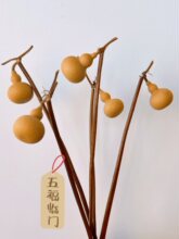 ���J�ɻ��滨��ʽ�ҾӲ廨�b[�����ҶU��[�O�����Ԣ��