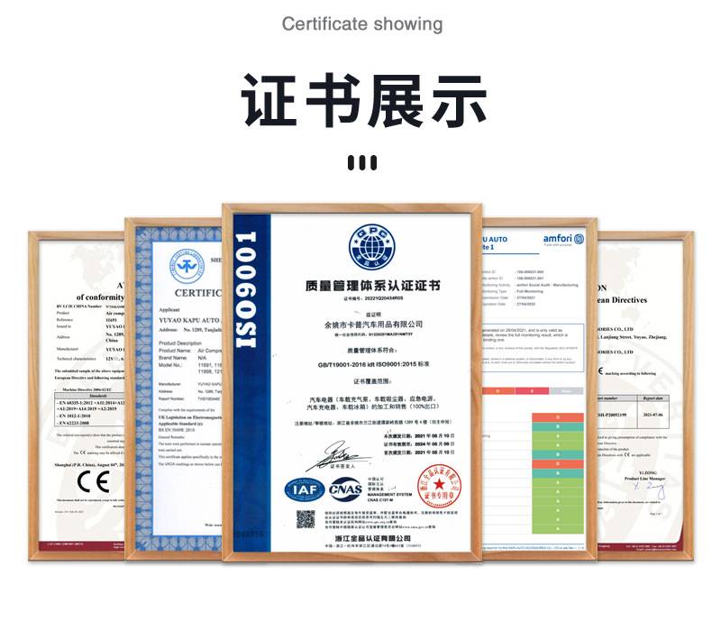 数显充气泵11691_11