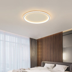 Minimalist Bedroom LED Ceiling Lamp Modern Study Round Creative Nordic Personality Living Room Lamp Lighting Fixture Instagram