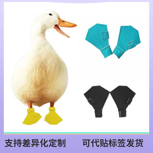 �羳�¿������ZЬ ������� ����_����ѥ���oЬ �S�����l