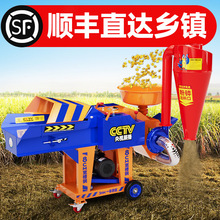 厲ݙCzһwCСBֳιţ׽նвݷC