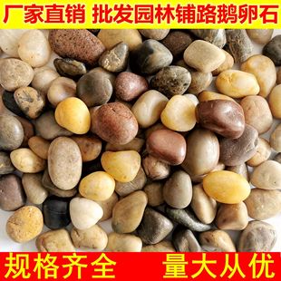Paving Small Pebbles, Large Pebbles, Soft Stones, White Goose Warm Stones, Courtyard Succulent Paving, Garden Stones, Rain Flower Stones