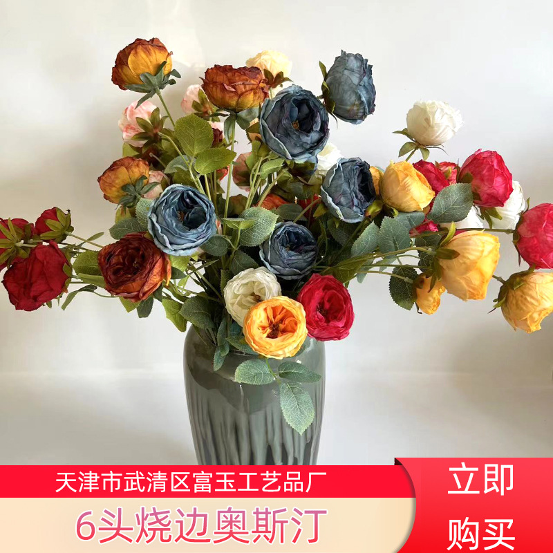 Wholesale 6-head Austin rose bouquet with burnt edge