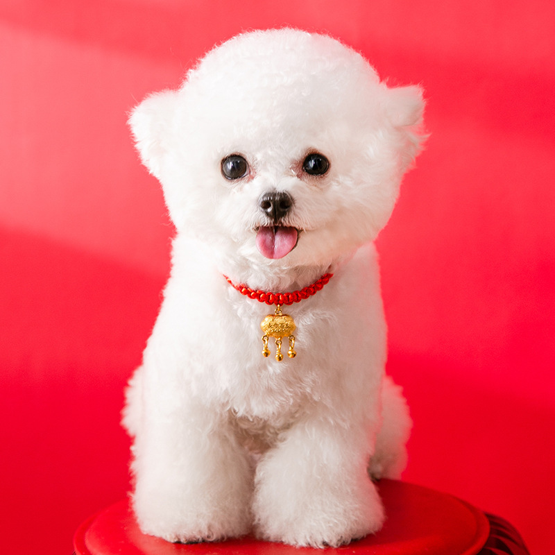 Año nuevo festivo rojo cuerda collar perro larga vida cerradura de seguridad Lucky Bell decoración gato collar mascota colgante