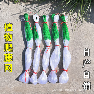 �Nֲ���پW�S�Ͻz�϶��������Wɽș�Nֲ�W�S��ֱ�N���l���N���l