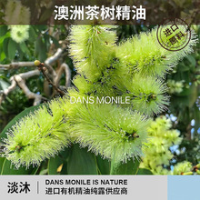 澳洲有机茶树植物精油面部护肤身体按摩香薰防护扩香厂家批发
