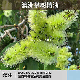 澳洲有机茶树精油面部护肤身体按摩精油香薰扩香植物精油厂家批发