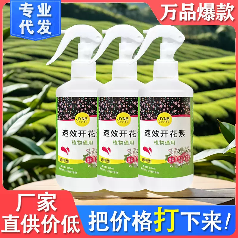 速效开花素液体免稀释剂即喷植物营养液促花素爆花催花肥一件代发