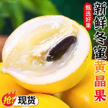 ţ�̶����S�������r�����S������S���SƤ�u�������乤�Sһ�����l