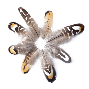 ��ȻҰ�uë���uӲ�SƬҰ�u��ë4-8cm�ֹ�DIY�OӋ�Ʒ�^��h���