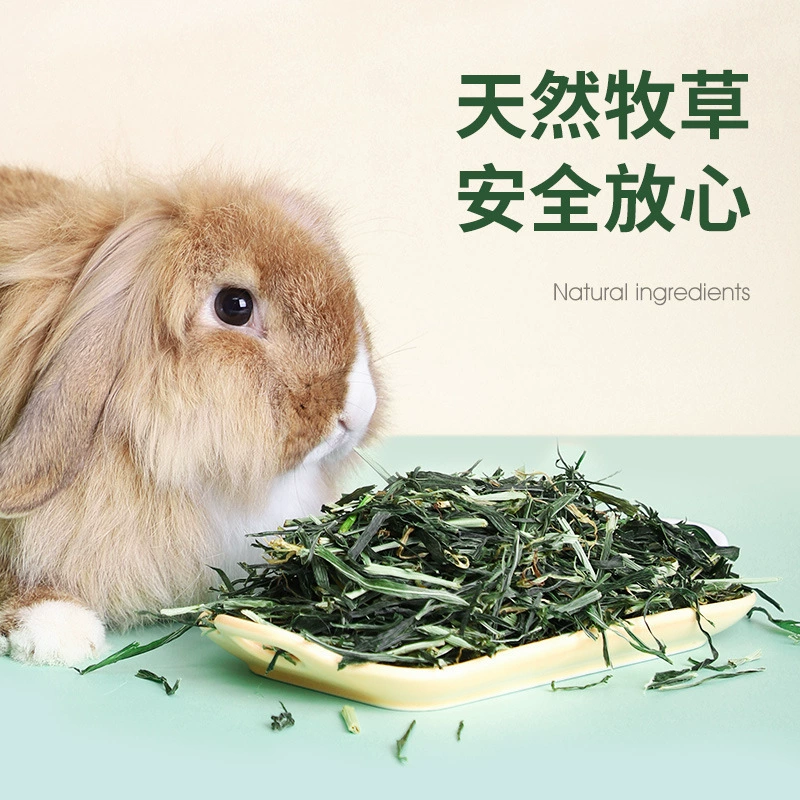 2024 New Barley Grass Section Rabbit Guinea Pig Chinchilla Guinea Pig Guinea Pig Rabbit Food Rabbit Feed Hay Food Wholesale