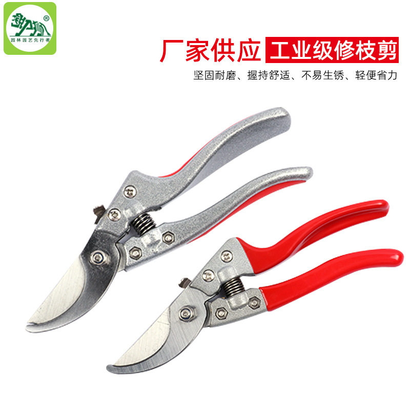 园林园艺修枝剪V8V9剪刀修花修剪树枝花艺剪刀果树剪户外园林工具