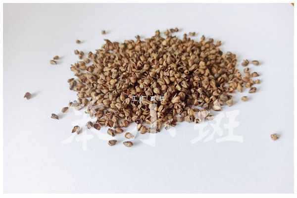 A5L Export Special Bitter Buckwheat Hull Pillow, Buckwheat Pillow, Bitter Sweet Buckwheat Hull Children's Pillow Infant 10 Pounds Wholesale