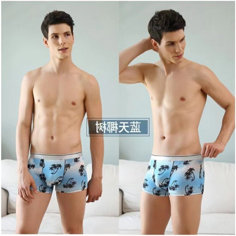 Cross Border Underwear Men's Ice Silk Pure Cotton Modal c?ckν Boxer plus size Boys' Boxer Underwear