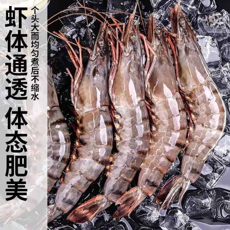 黑虎虾特鲜活新鲜海捕大虾基围海鲜水产辅食网红现货工厂批发