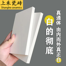 全瓷通体白柔光砖750*1500素色哑光砖纯白色客厅卫生间厨房墙砖