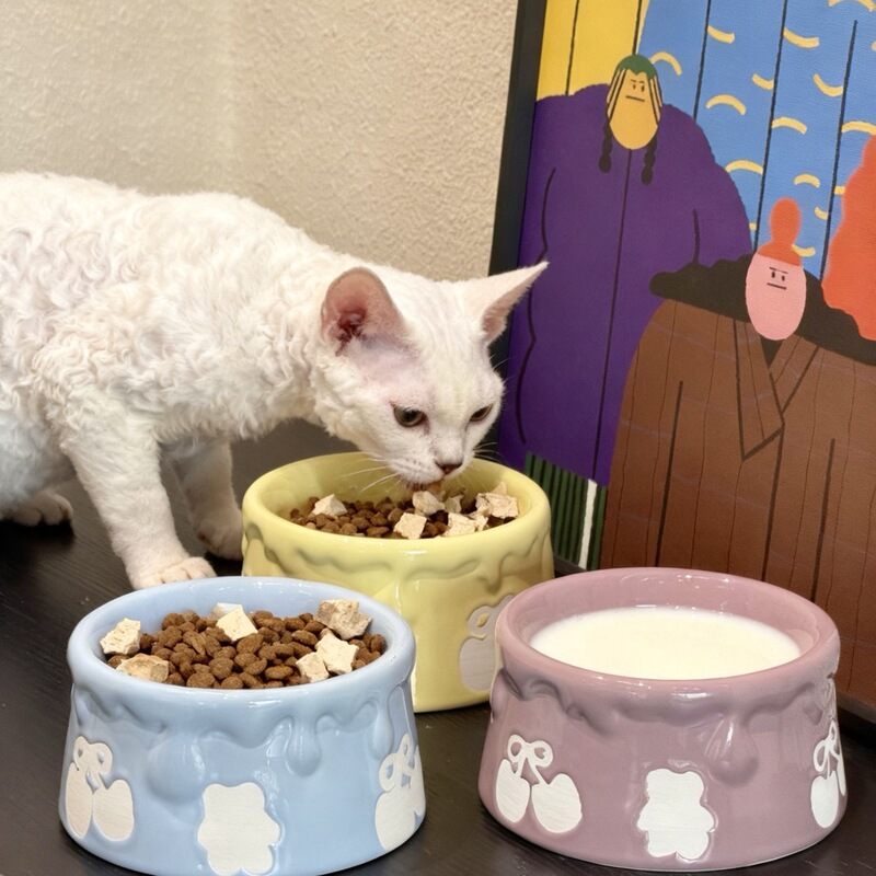 Ceramic Cat Bowl with Neck Protection, Pet Bowl, Large Diameter Cat Food Bowl, Water Bowl, High-Footed Bowl for Cats and Small Dogs