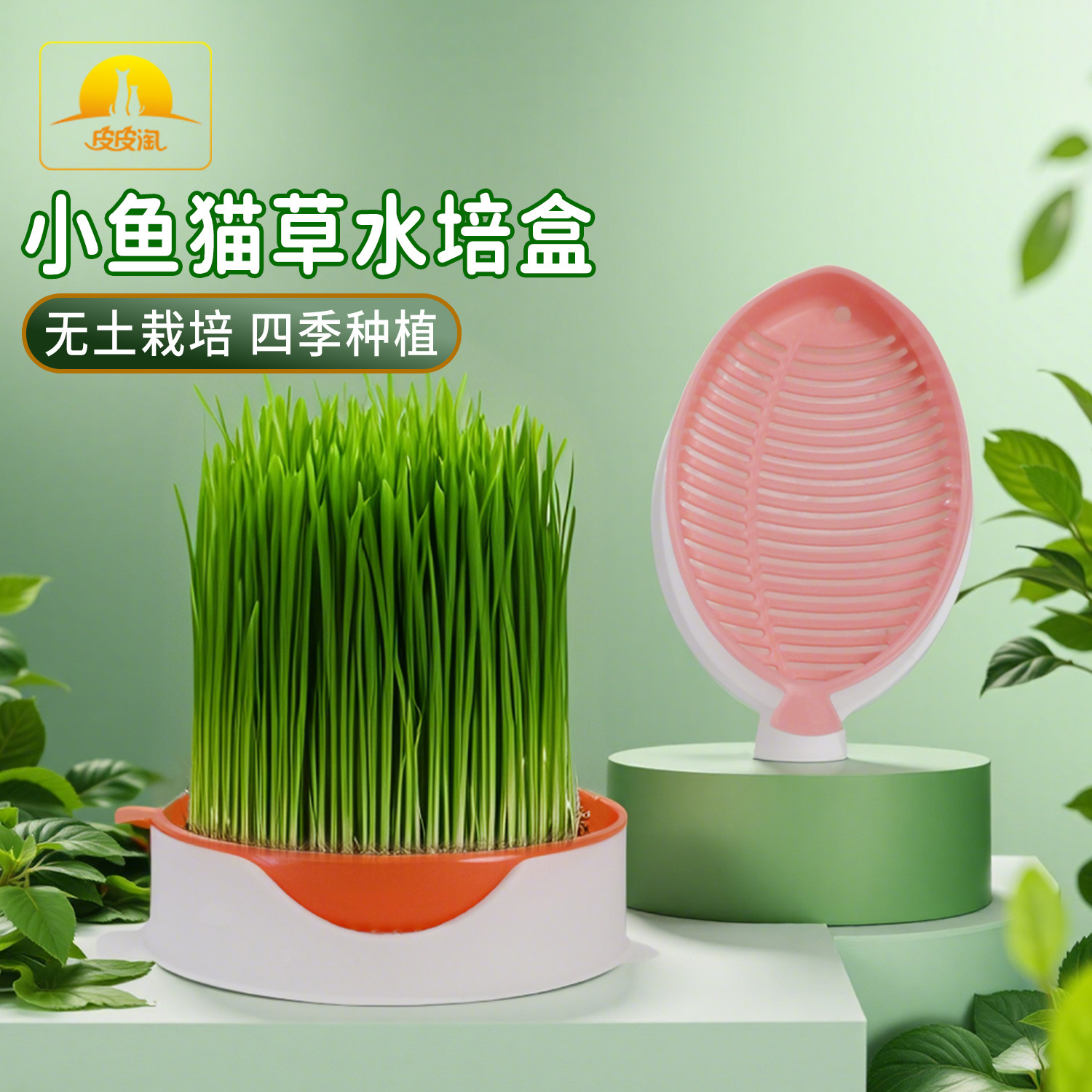 Venta directa de fábrica, caja de hierba para gatos de peces pequeños, caja de plantas en macetas de cultivo hidropónico sin suelo perezoso, juego de bocadillos para gatos de cultivo de trigo