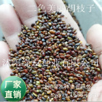 批发豆科胡枝子花灌木种子二色胡枝子红花胡枝子绿化工程种籽