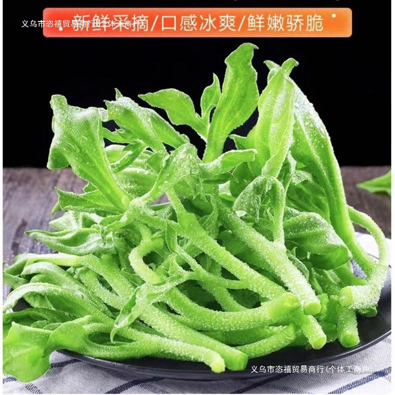 新鲜冰草冰菜蔬菜非洲冰叶花火锅即食生吃沙拉菜凉拌整箱包邮其他