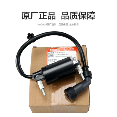 For Haojue original GSX250 Alovlandırıcı (Vozduşka/İqniter)