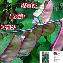 ߅ü󌒱ⶹǷNѴٶYv߮͟a