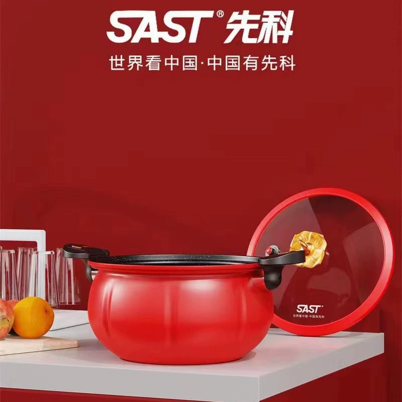 SAST Xianke Flame Red Micro Pressure Cooker 28м Multifunctional Stew Pot Household Soup Pot Gift Pot Exhibition and Sales Event Wholesale