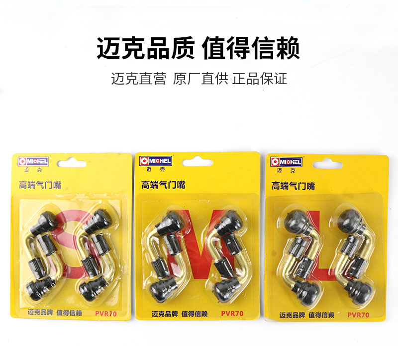 Mike Electric Vehicle Valve Vacuum Tire Valve Tire Valve Electric Vehicle Motorcycle Tricycle Air Wholesale