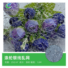 ��]�y���y�W�����Y�W�����ϻ鼆ȹ�������l֩��W���}�Q���b�