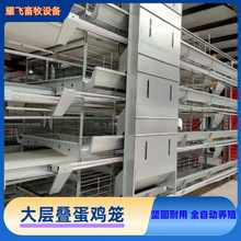 层叠式全自动蛋鸡笼 养鸡设备 自动化加密加粗 大层叠 蛋鸡笼
